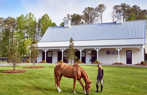 Buy Horse Farm With Stables And Pastures