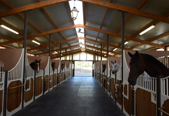 Purchase Horse Facility With Boarding Options